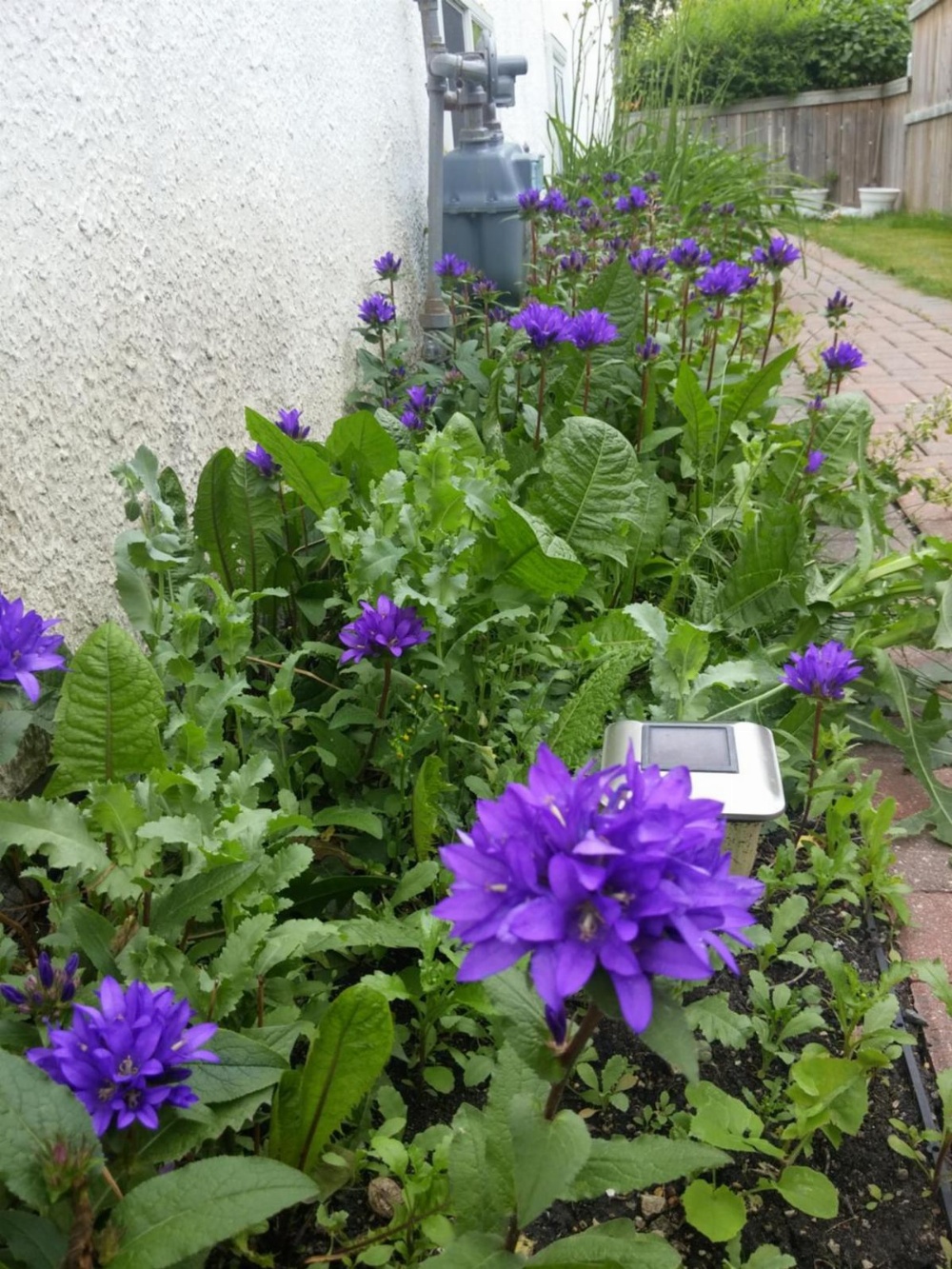 Single Bed in Dormitory Room