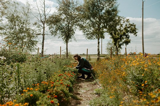 Tour image 4